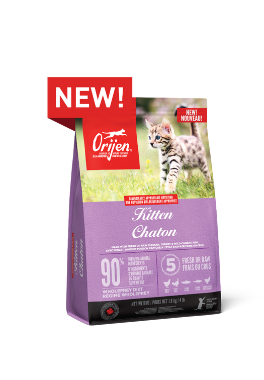 High quality protein cat food hot sale